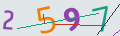 verifycode